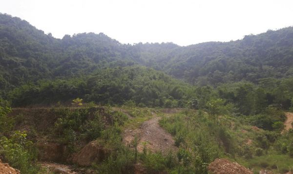 Thận trọng mua đất rừng, đất nông nghiệp giá rẻ