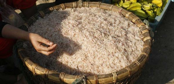 Ruốc biển đặc sản Cà Mau: Được mùa được giá