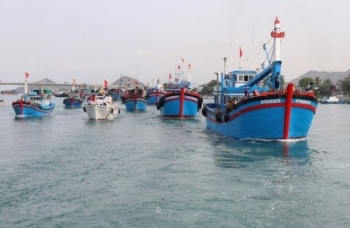 Xuất khẩu thủy sản sang EU tăng 10%  trong tháng 8