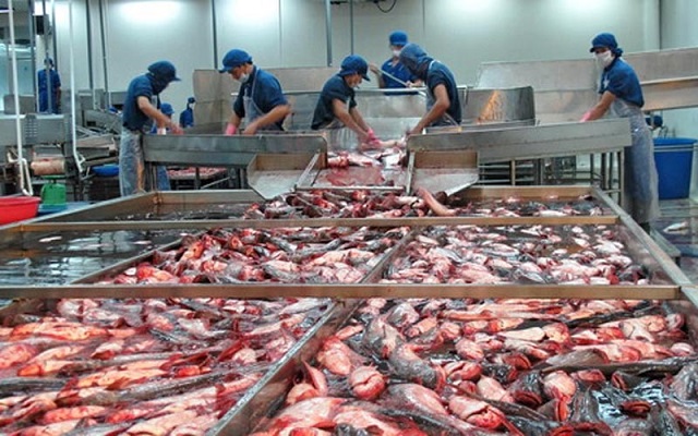 Thực thi EVFTA, xuất khẩu thủy sản sang EU tăng 10% so với tháng trước