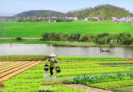 TP Hồ Chí Minh đề xuất triển khai dự án thực phẩm nông nghiệp an toàn