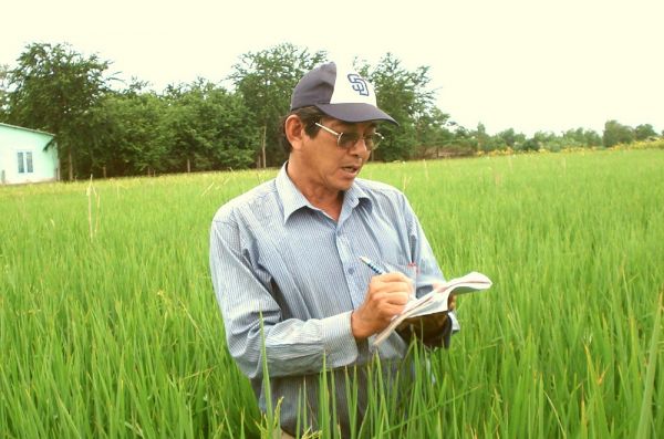 Bạc Liêu tích cực hỗ trợ nông dân trồng gạo ngon nhất thế giới