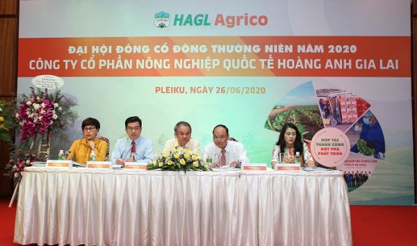 CTCP Nông nghiệp Quốc tế Hoàng Anh Gia Lai bị phạt và truy thu tiền thuế CTCP Nông nghiệp Quốc tế Hoàng Anh Gia Lai bị phạt và truy thu tiền thuế