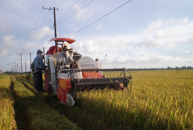 Tr&agrave; Vinh thực hiện nhiều giải ph&aacute;p đẩy mạnh cơ giới h&oacute;a, tự động h&oacute;a, hiện đại h&oacute;a trong sản xuất n&ocirc;ng nghiệp