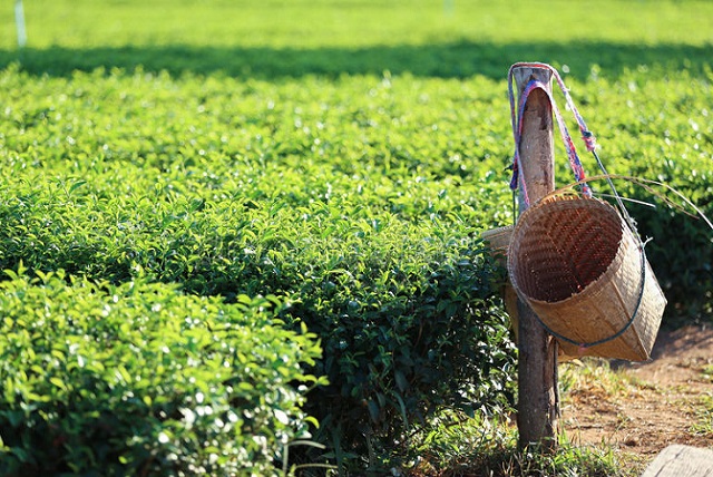 Xuất khẩu sang UAE tăng mạnh gần 33%