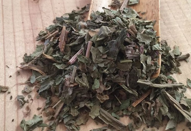 c&acirc;y thuốc m&atilde; đề l&agrave; dược liệu kh&ocirc;ng thể thiếu trong nhiều b&agrave;i thuốc Đ&ocirc;ng y