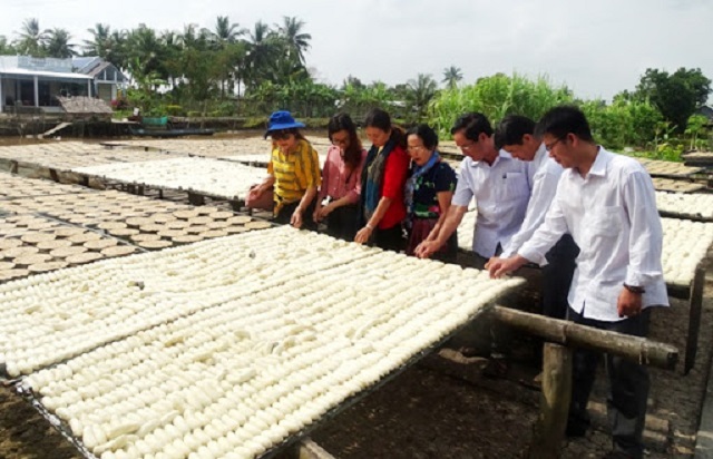 C&agrave; Mau triển khai chương tr&igrave;nh khuyến c&ocirc;ng giai đoạn 2021 &ndash; 2025