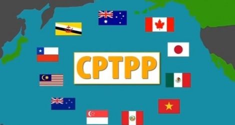 Chính phủ ban hành nghị định đấu thầu mua sắm theo Hiệp định CPTTP