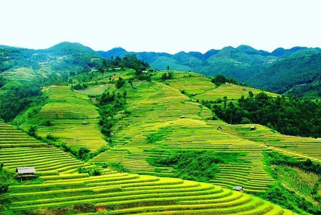 UBND huyện Bình Liêu vừa ban hành kế hoạch tổ chức Hội mùa vàng Bình Liêu 2020, dự kiến tổ chức vào tháng 10