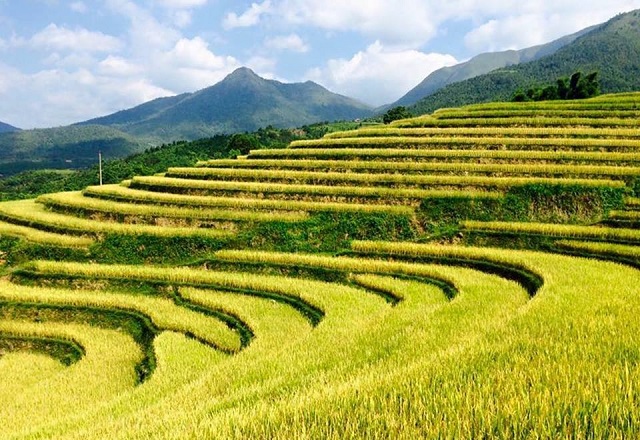 Hội mùa vàng sẽ trở thành sản phẩm du lịch đặc trưng của huyện Bình Liêu, Quảng Ninh