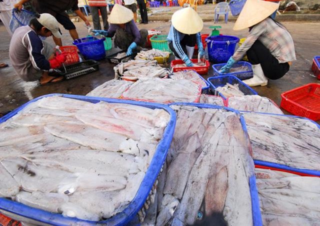 Xuất khẩu mực sang Trung Quốc tăng 86% trong tháng 7/2020