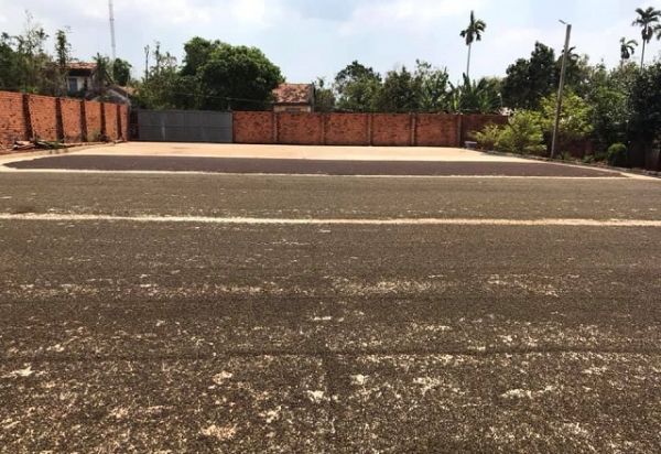 Giá hồ tiêu hôm nay 29/8: Giảm nhẹ