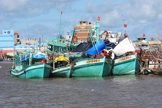 Cà Mau có đội tàu khai thác thủy hải sản lớn, với sản lượng bình quân trên 200.000 tấn/năm