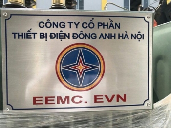 EVN đấu giá 13 triệu cổ phần tại Thiết bị điện Đông Anh
