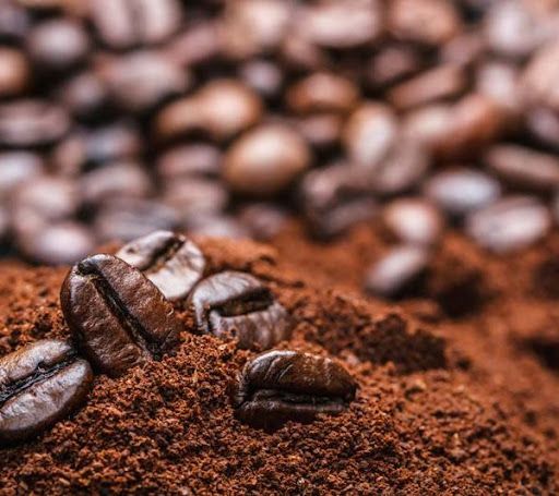 Giá cà phê hôm nay 1/9: Theo đà tăng nhẹ