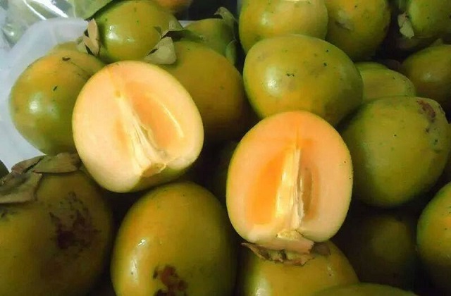 Hồng kh&ocirc;ng hạt Bắc Kạn vỏ m&agrave;u v&agrave;ng đỏ khi ch&iacute;n, tai to, kh&ocirc;ng cứng v&agrave; c&oacute; vị ngọt dịu đến ngọt đậm sau khi ng&acirc;m