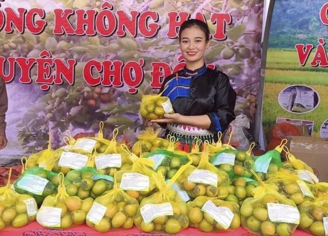 Để gi&uacute;p hồng kh&ocirc;ng hạt tiếp tục ph&aacute;t triển thương hiệu, tỉnh Bắc Kạn đ&atilde; v&agrave; đang c&oacute; th&ecirc;m nhiều định hướng để th&uacute;c đẩy ph&aacute;t triển hồng kh&ocirc;ng hạt