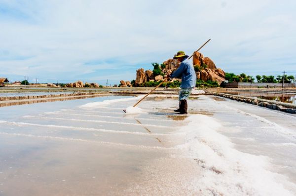 Ngành muối đặt mục tiêu đạt sản lượng 1,5 triệu tấn/năm vào năm 2025