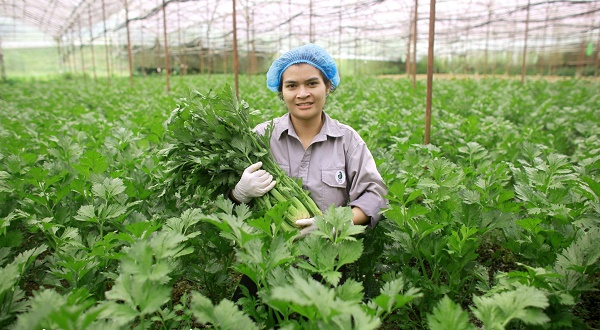 x&oacute;a ngh&egrave;o ở H&agrave; Nội