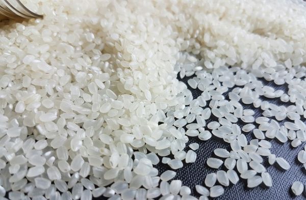 Hà Nội: Cho phép đăng ký bảo hộ nhãn hiệu tập thể 'Gạo Japonica Mỹ Thành'