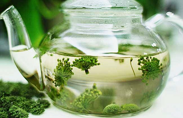 Hoa tam thất được mọi người xem l&agrave; vị thuốc