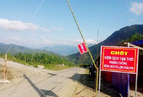 Hà Giang: Tập trung khống chế, dập tắt bệnh dịch tả lợn châu Phi