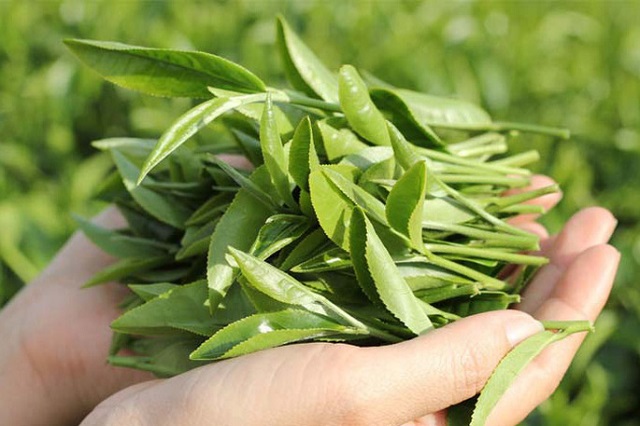 Mỹ tăng mạnh nhập khẩu ch&egrave; từ Việt Nam