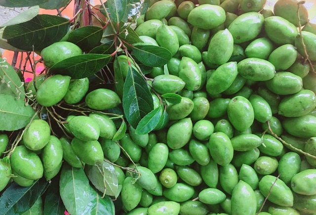 C&agrave; na cho tr&aacute;i giống như tr&aacute;i muỗn ở ngo&agrave;i Bắc, c&oacute; h&igrave;nh thu&ocirc;n tr&ograve;n, d&agrave;i cỡ 2 l&oacute;ng tay