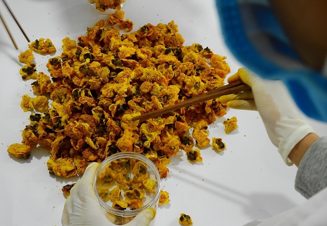 Tr&agrave; hoa v&agrave;ng đ&atilde; v&agrave; đang trở th&agrave;nh thức uống cao cấp d&agrave;nh cho nhiều đối tượng kh&aacute;c nhau