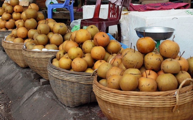 Việc được c&ocirc;ng nhận nh&atilde;n hiệu chứng nhận l&ecirc; Đ&ocirc;ng Kh&ecirc; đ&acirc;y l&agrave; một khởi đầu mới đầy triển vọng với b&agrave; con nh&acirc;n d&acirc;n trồng l&ecirc; tr&ecirc;n địa b&agrave;n huyện Thạch An