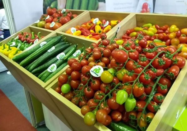 Giá rau củ quả hôm nay 11/9: Vẫn có nhiều khuyến mãi hấp dẫn