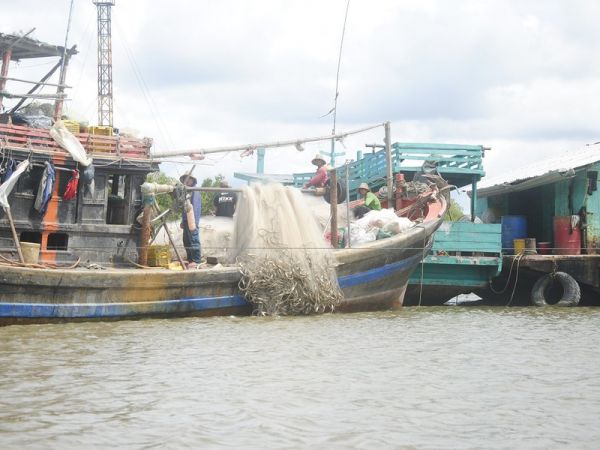 Phát triển nghề cá bền vững tại Cà Mau