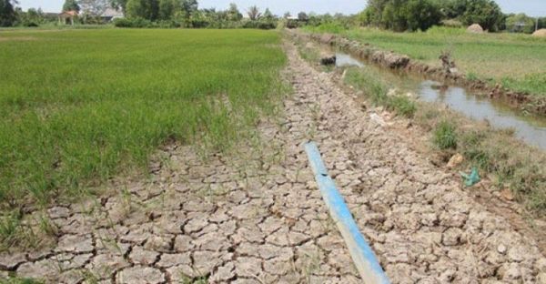 Chủ động ứng phó nguy cơ hạn hán, thiếu nước, xâm nhập mặn ở ĐBSCL