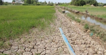 Chủ động ứng phó nguy cơ hạn hán, thiếu nước, xâm nhập mặn ở ĐBSCL