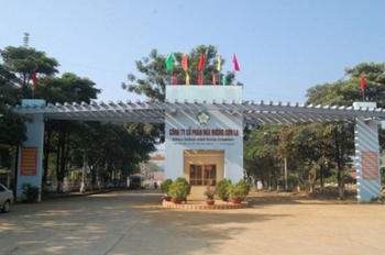 Mía đường Sơn La hạ mục tiêu trước niên vụ mới