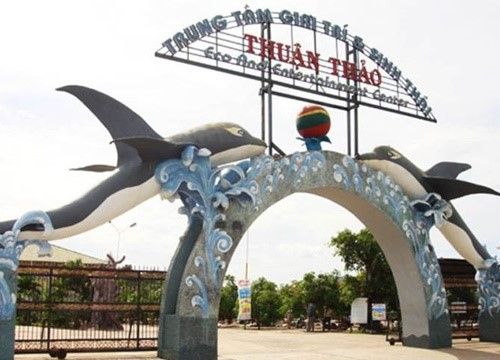 Khoản nợ của Công ty CP Thuận Thảo: Hạ giá hàng trăm tỷ vẫn ế