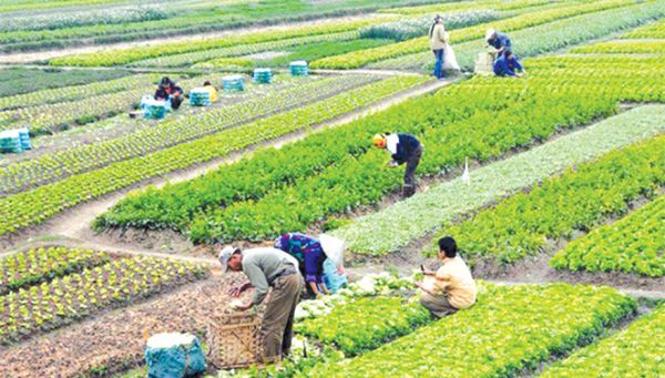 Nghệ An huy động hơn 67.000 tỷ đồng xây dựng Nông thôn mới