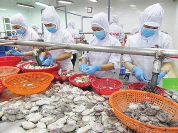 Hỗ trợ doanh nghiệp gia tăng thị phần xuất khẩu