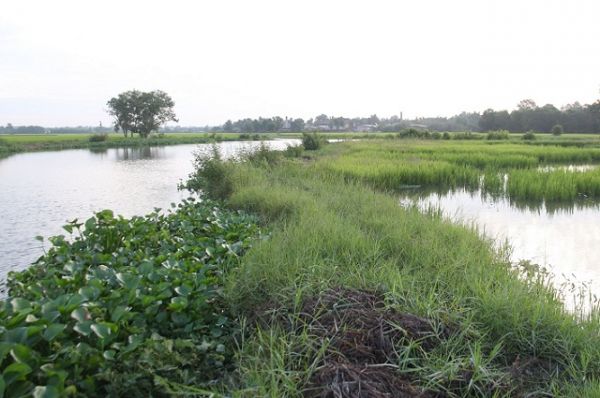 Tây Ninh: Đề xuất triển khai cắm mốc giới bảo vệ nguồn nước