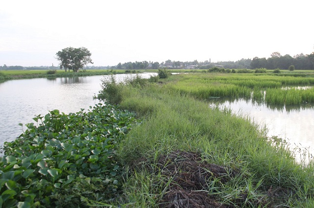 triển khai cắm mốc bảo vệ nguồn nước tại c&aacute;c s&ocirc;ng, suối, k&ecirc;nh, rạch, tr&ecirc;n địa b&agrave;n tỉnh T&acirc;y Ninh