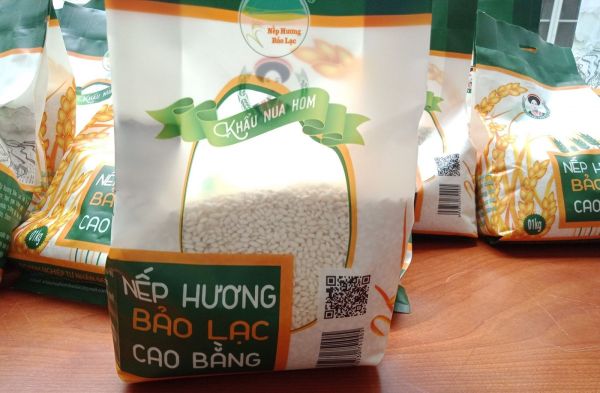 Dẻo thơm Nếp hương Bảo Lạc Dẻo thơm Nếp hương Bảo Lạc