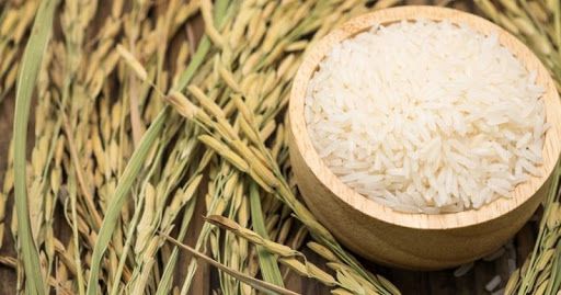 Cập nhật giá gạo chiều nay 17/9: Gạo trong nước tiếp tục giảm