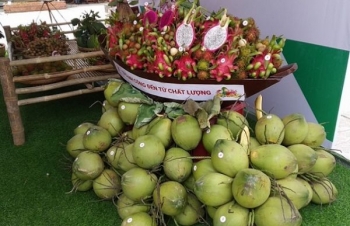 Đến lượt thanh long, bưởi, dừa nhộn nhịp 