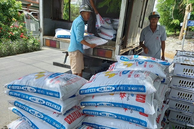 Tiến hành giao vật tư cho các hộ thực hiên mô hình chăn nuôi vịt