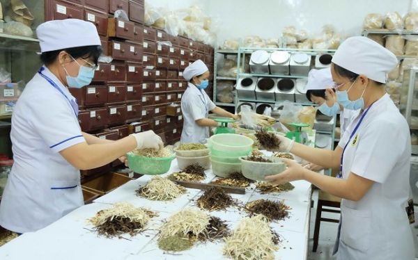 Hà Nội: Đẩy mạnh phát triển y, dược cổ truyền