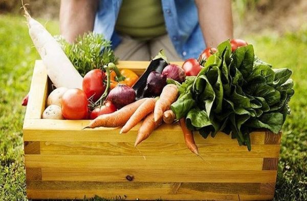 Giá rau củ quả hôm nay 19/9: Nhiều ưu đãi hấp dẫn cuối tuần