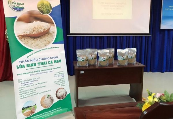 Công bố và trao nhãn hiệu chứng nhận 'Lúa sinh thái Cà Mau'