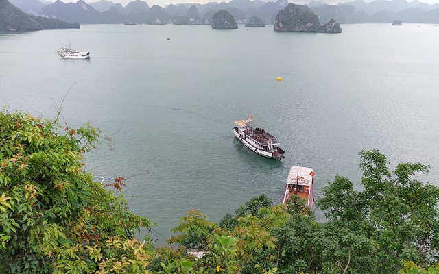 Theo lộ trình, giai đoạn 2020-2025, Quảng Ninh sẽ xây dựng, nâng cấp Khu rừng bảo vệ cảnh quan Vịnh Hạ Long thành Vườn Quốc gia Vịnh Hạ Long