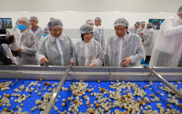 Khánh thành nhà máy chế biến hoa quả lớn nhất Tây Bắc