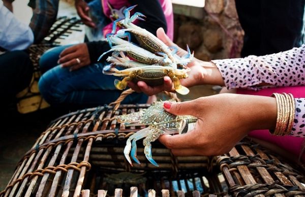 8 tháng, nhập khẩu thủy sản giảm nhẹ so với cùng kỳ